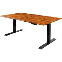 Invicta Bureau MAMMUT 140 cm tafelblad van sheeshamhout zonder poten - 45307