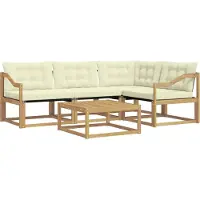 vidaXL Buiten bank set 5 pcs Wit en crèmekleurig 79 x 79 x 37 cm