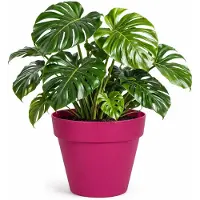 Mega Collections Plantenpot - kunststof - fuchsia roze - binnen/buiten - D39xH35 cm - bloempot