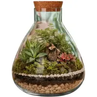Mica Decorations Vaas Terrarium - rond - met kurk - glas - Dia 29 x Hoogte 32 cm - transparant - gerecycled glas - met kurk deksel