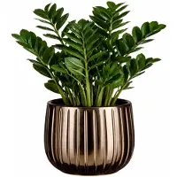 Mica Decorations Bloempot Pablo - 18x18x16 cm - Keramiek - Bronze