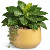 Mica Decorations bloempot / plantenpot Venice - beige - terracotta - D27 x H24 cm - effen