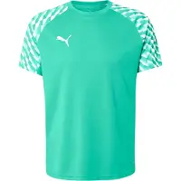 Puma Functioneel shirt 'teamLIGA26' smaragd / wit