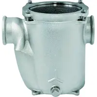 Maestrini Gs30728 1 1/4´´ Water Filter Zilver
