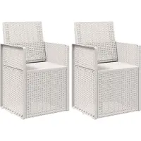 vidaXL Tuinstoelen 2 st Wit PP