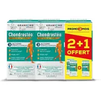 Granions Chondrostéo+ Articulations Verpakking van 3 x 90 Tabletten Inclusief 90 Gratis Tabletten