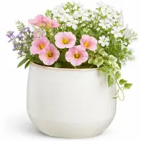 Mica Decorations bloempot / plantenpot Venice - ivoor wit - terracotta - D16 x H13 cm - effen
