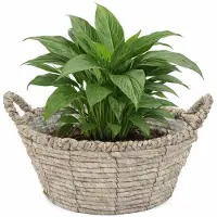 Mega Collections bloemen/plantenmand Sneek - grijs - riet - D25 x H11 cm - bloempot/plantenpot