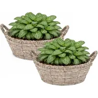 Mega Collections bloemen/plantenmand Sneek - 2x - grijs - riet - D29 x H13 cm - bloempot/plantenpot