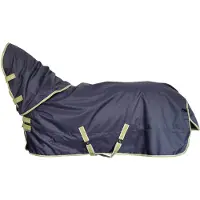 Bucas Outdoor paardendeken met halsbedekking Oasis Turnout 200g