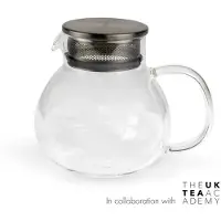 Bredemeijer Theepot Teamaster Transparant 0,5 L