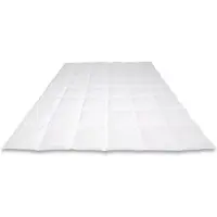 Cassenz PICASSO | donzen dekbed | 90% ganzendons | Zomer | warmteklasse 4