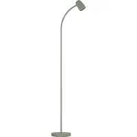Eglo LED vloerlamp 170 cm | Carlo | Groen | 18W