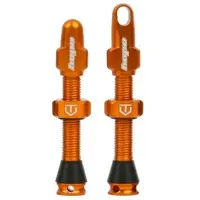 Hope Orange Tubeless Valve Pair