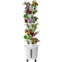 Vevor Hydroponic Kweeksysteem