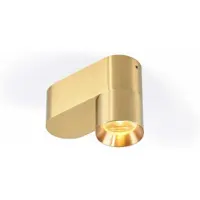 Trizo21 - Audy 1 up Rounded Spot