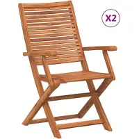 vidaXL Tuinstoelen inklapbaar 2 st met armleuning massief acaciahout