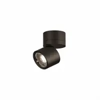 B.Lux - Sis C D60 26º Spotlicht