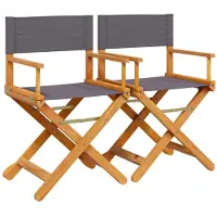 Syfax Regisseursstoelen 2 st inklapbaar stof donkergrijs