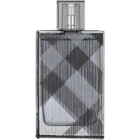 Burberry Brit for men eau de toilette spray 100 ml