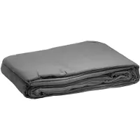 Bresser BG-2X3-GR 2,50x3,0m grijs