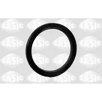 SASIC 1950004 Keerring, differentieel