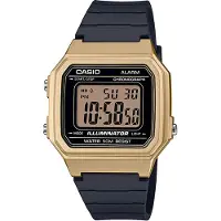 Casio Unisexhorloge W-217HM-9AVEF