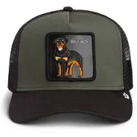 GOORIN BROS. Pet 'Bad Boy' gemengde kleuren
