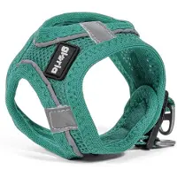 Big Buy Cooking Hondentuig Gloria Trek Star, turquoise, maat M, geschikt voor een borstomvang van 32,8-35,4 cm en een halsomvang van 45-47 cm