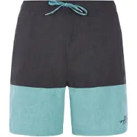 Protest Beachshort Men Prtfreddie Arctic Green-XS