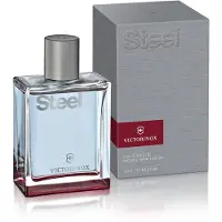 Swiss Army Steel Eau de Toilette 100 ml