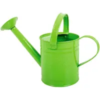 Bigjigs Metalen Gieter Groen