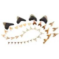 Guidecraft speelgoed Super Shark Teeth set - 40 stuks - educatief.