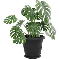 vidaXL Ronde bloemenschalen 6 pcs Zwart Ø 14 x 2 cm Kunststof