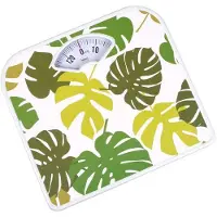 Eldom BR2019 Mechanische Weegschaal - Flamingo Design tot 130 kg
