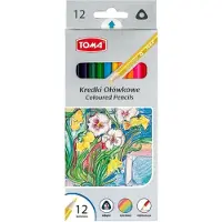 Tom Driehoekige Kleurpotloden Set - 12 Kleuren