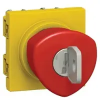 Legrand noodstopschakelaar sleutel 250V 6A IP41 - 076601