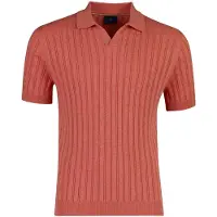 Baileys polo v-hals rood streepjes