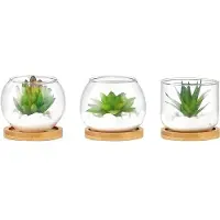 OEM Miniature kunstplanten in glazen potjes, set van 3 - Kunstplanten - Bamboe - Decoratie voor tafel, woonkamer en kantoor