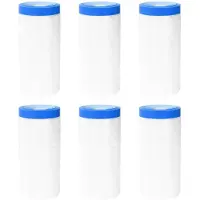 vidaXL Maskerfolie met zelfklevende tape 6 st Doorzichtig en Blauw