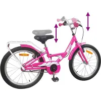 vidaXL Kinderfiets 20 Inch voor 6-11 jaar oud Roze