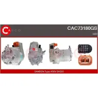 Casco CAC73180GS Aircopomp
