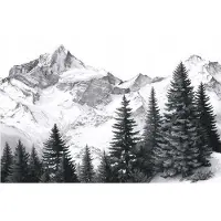 WALLARENA - Behang 200x140 cm + Fotobehang - Vliesbehang - Bergen motif - Naar de slaapkamer, woonkamer - Op de Flizelin - Zwart-wit
