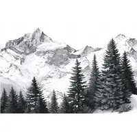 WALLARENA - Behang 350x250 cm + Fotobehang - Vliesbehang - Bergen motif - Naar de slaapkamer, woonkamer - Op de Flizelin - Zwart-wit