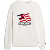Tommy Hilfiger Rwb Crew Neck Sweater Ivory Petal Size: M | Sweaters Outlet | Heren | Wit