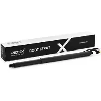 RIDEX 219G1180 Gasveer achterklep