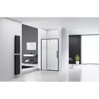 Van Rijn ST04 nisdeur helder glas 120cm zwart