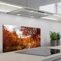 KitchenYeah Spatscherm 90x45 cm - Zelfklevende achterwand Boom - Pad - Herfst - Keuken muurbeschermer - Spatwand fornuis