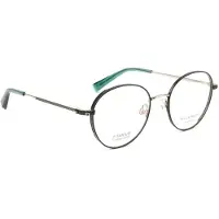 Ana Hickmann Optical Frame HI1219T 12A 51 Titanium