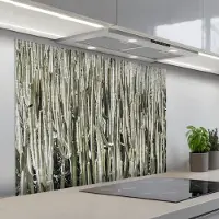 KitchenYeah Spatscherm 100x75 cm - Zelfklevende achterwand Cactus - Natuur - Vetplanten - Keuken muurbeschermer - Spatwand fornuis